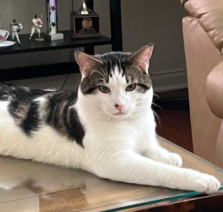 Photo of Solo