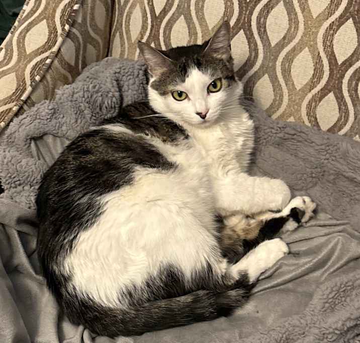 Photo of Ruby