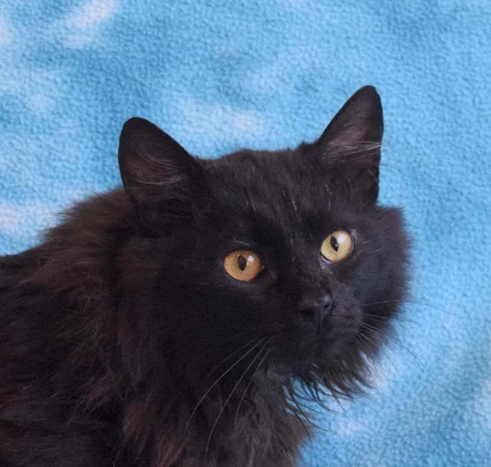 Photo of Wyatt