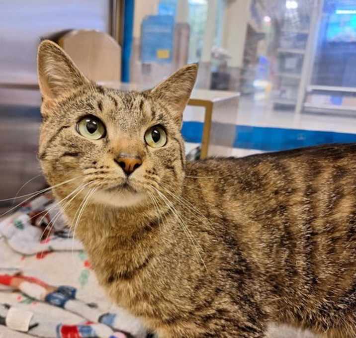 Photo of Maverick