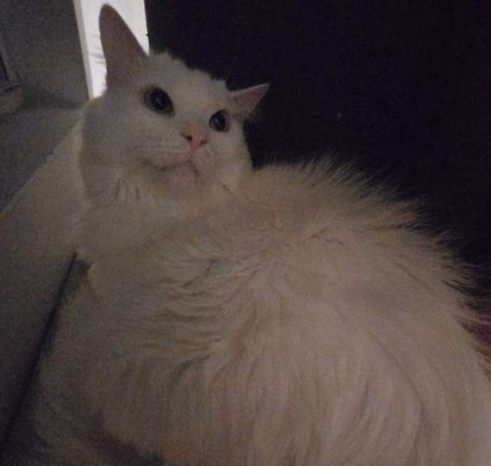 Photo of Hades