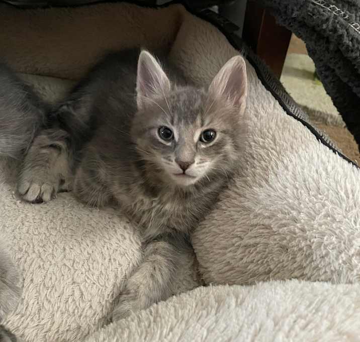 Photo of George