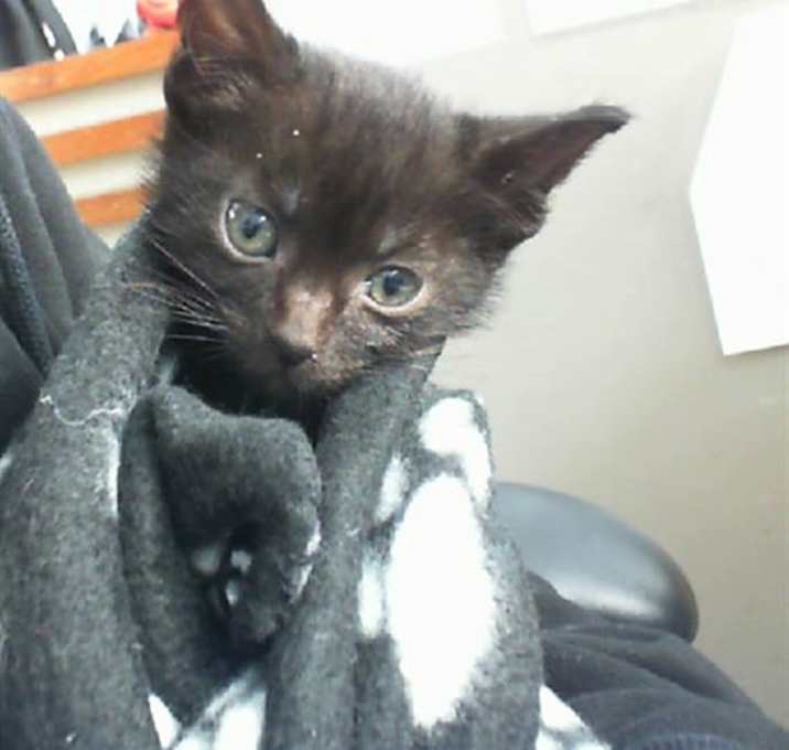 Photo of SPIKEY