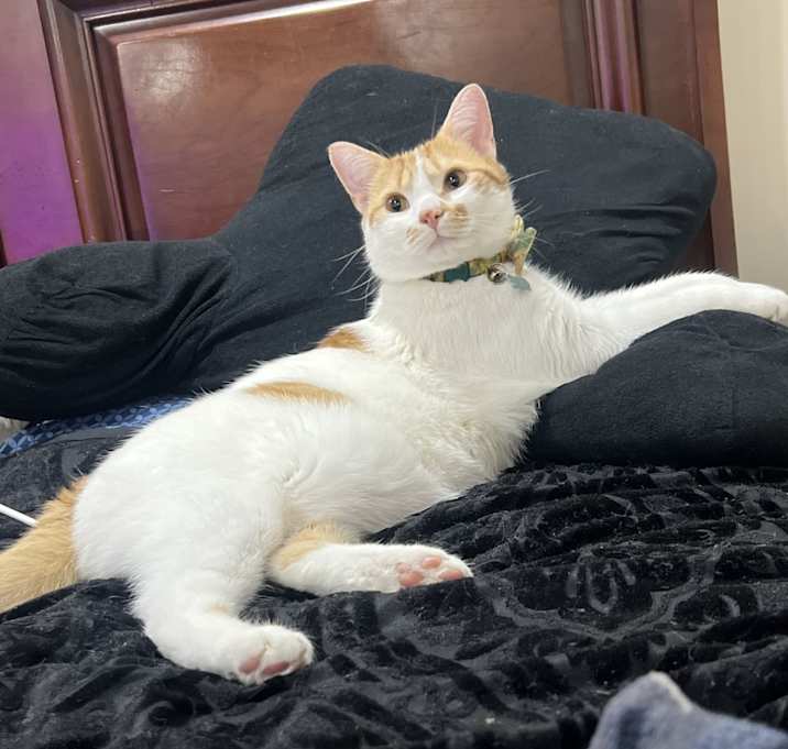Photo of Marley “Bootsy”