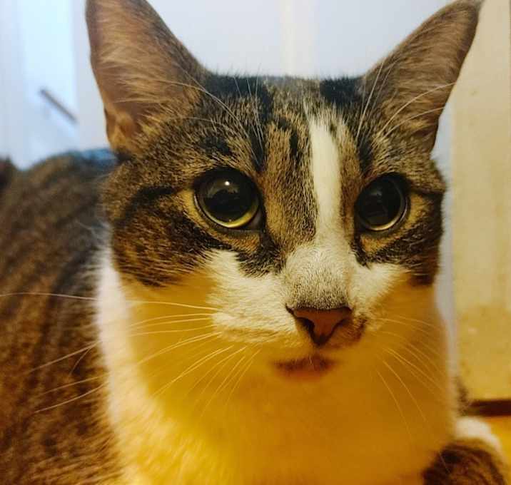 Photo of Max