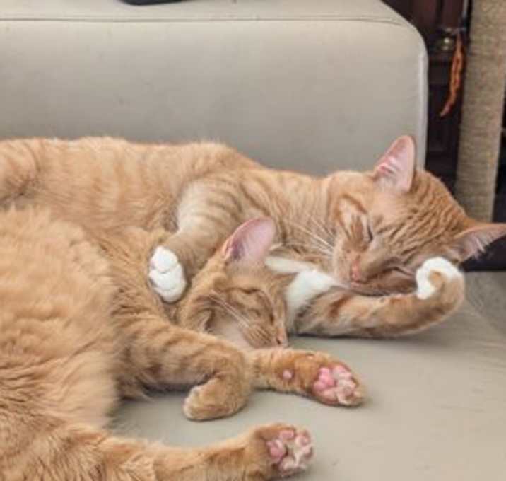 Photo of Ricky and Lucy
