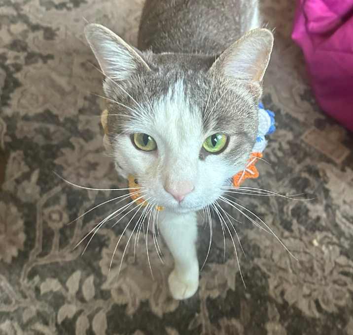 Photo of Walter