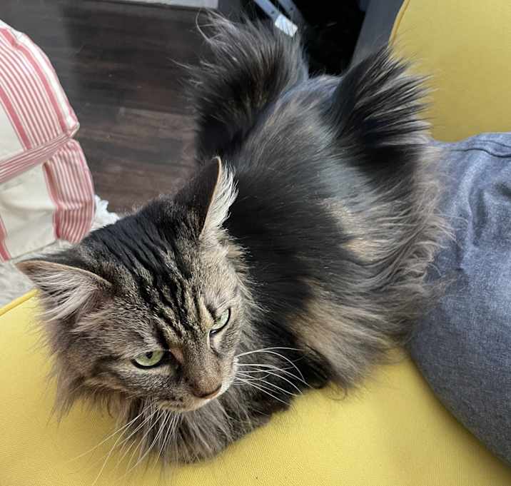 Photo of Sasha