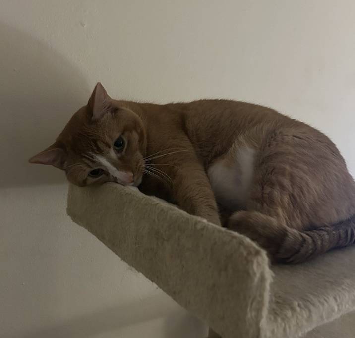Photo of Spencer