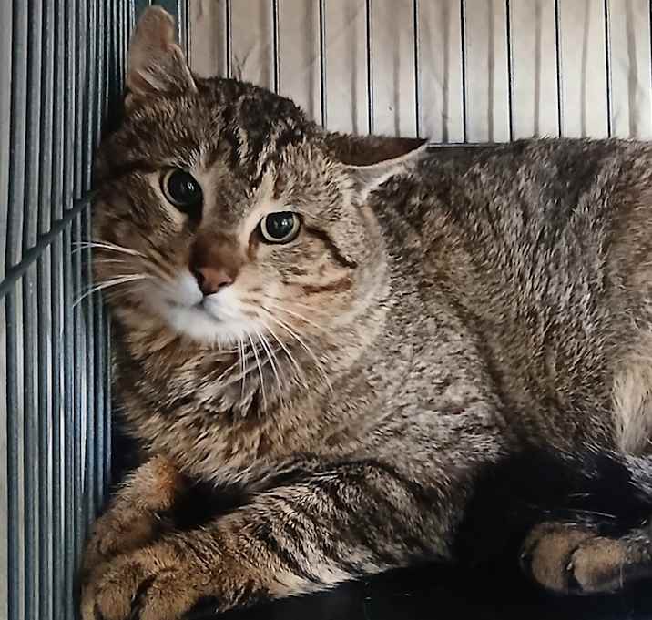 Photo of Hunter