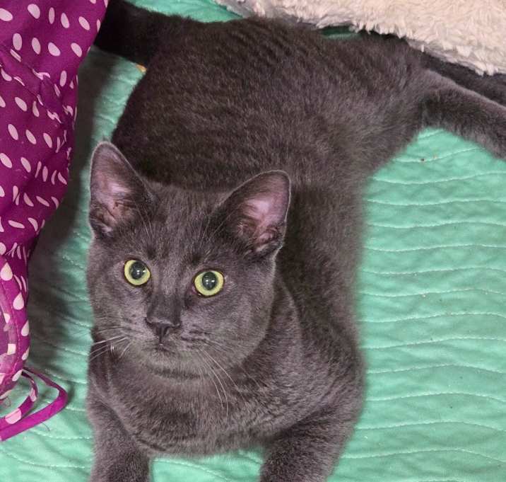 Photo of Leo