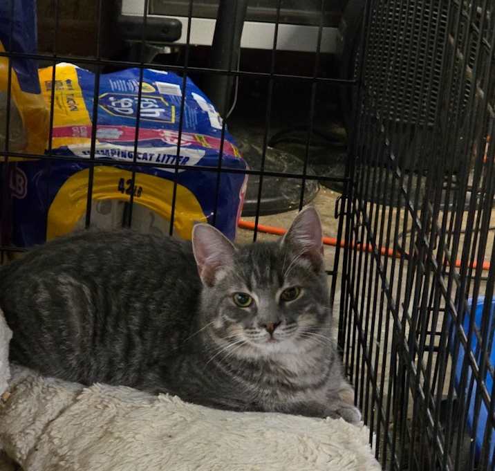 Photo of Max