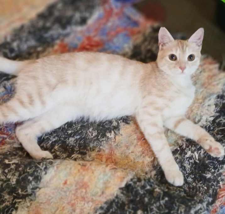 Photo of Lily