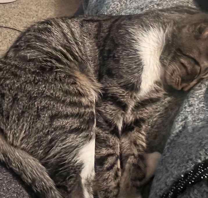 Photo of Tabitha