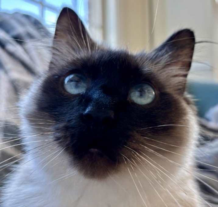 Photo of Mimi