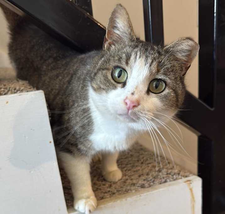 Photo of Dottie