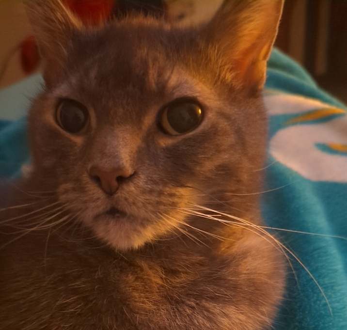 Photo of Jack