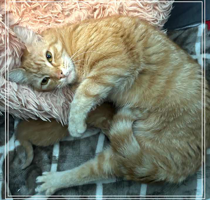 Photo of Charlotte