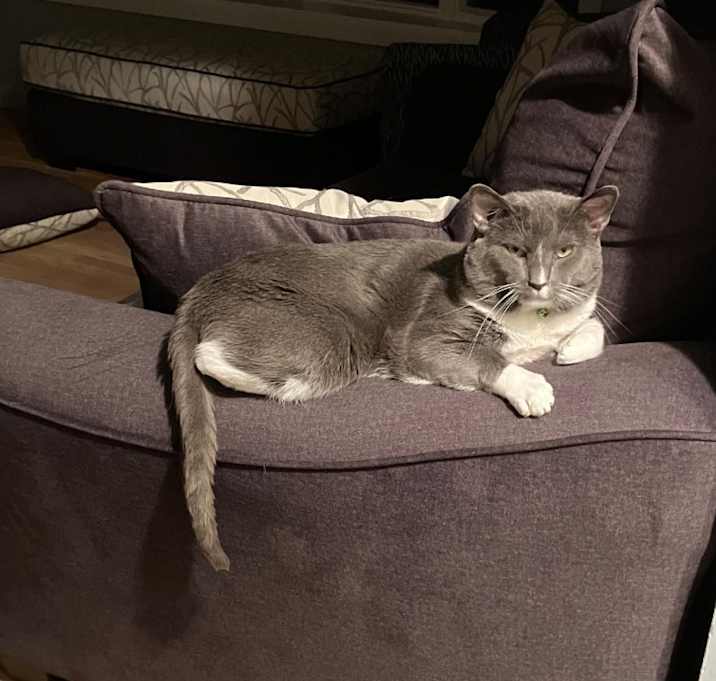 Photo of Oliver
