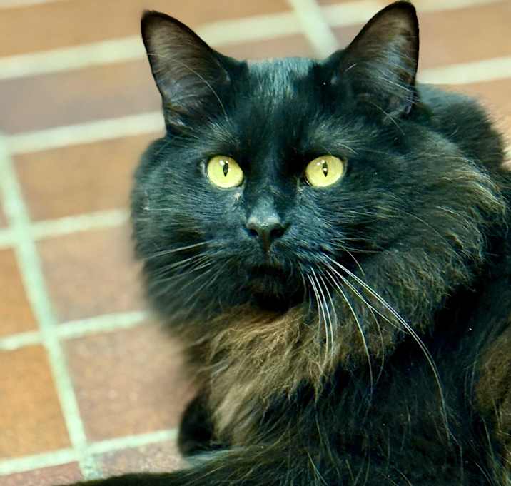 Photo of Murphy