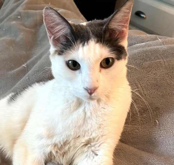 Photo of Dusty