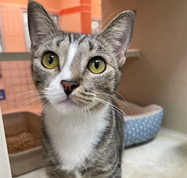 Photo of Lily