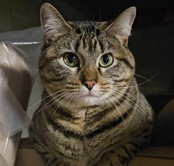 Photo of Mabel