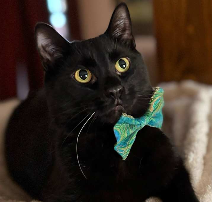 Photo of Sage