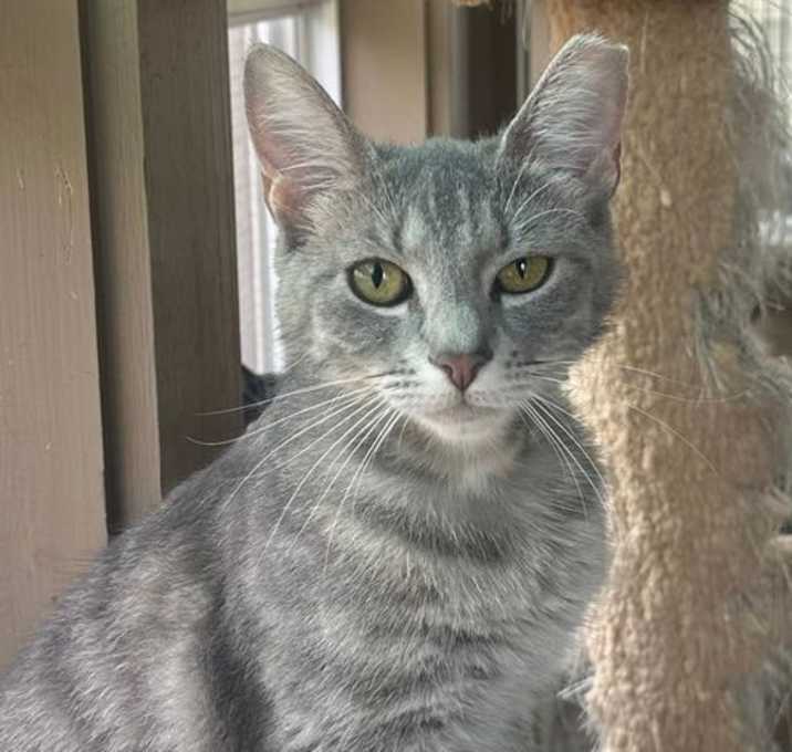 Photo of DIVA