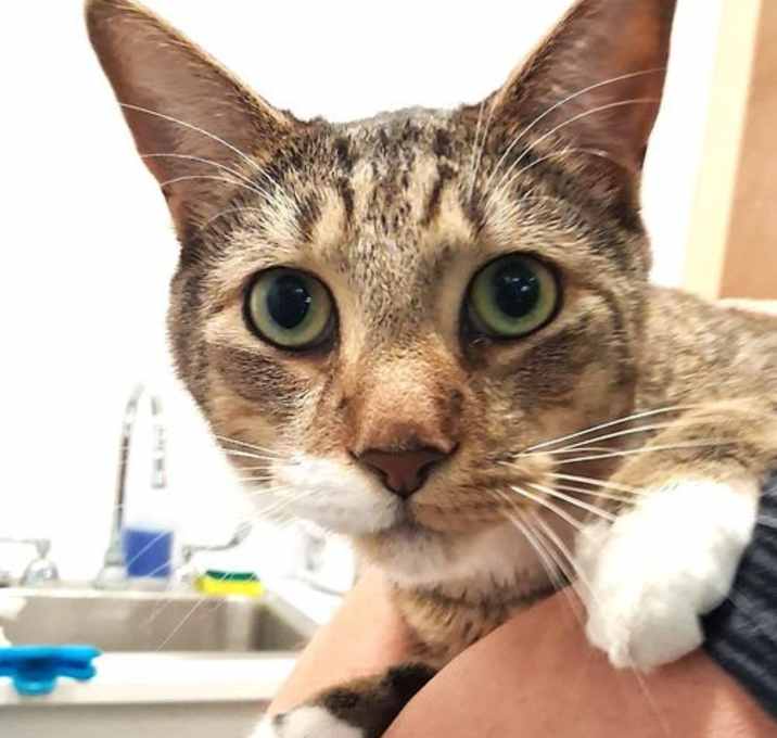 Photo of Oliver
