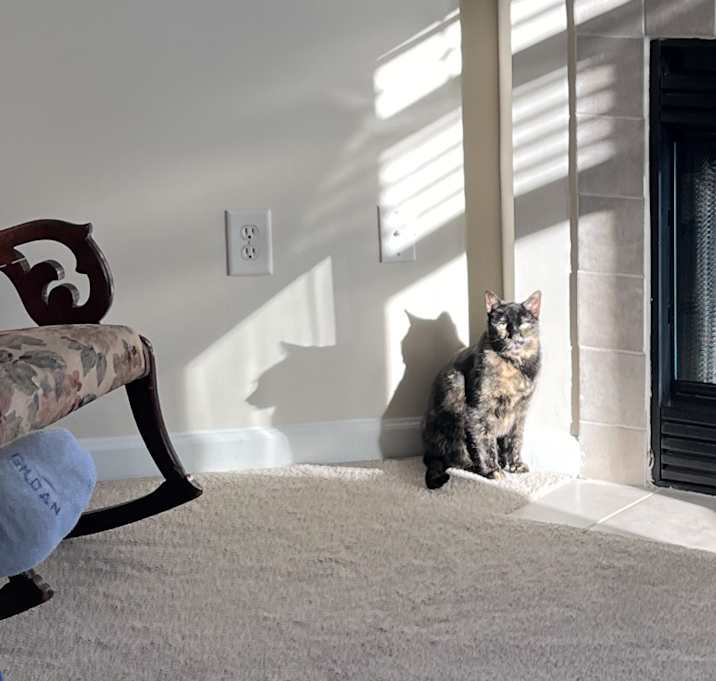 Photo of Twix