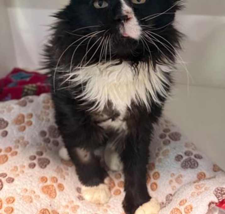 Photo of Emerald