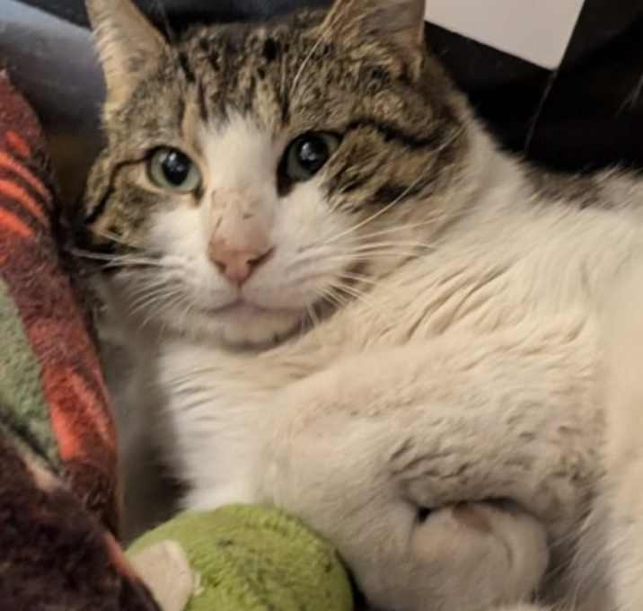 Photo of Kevin