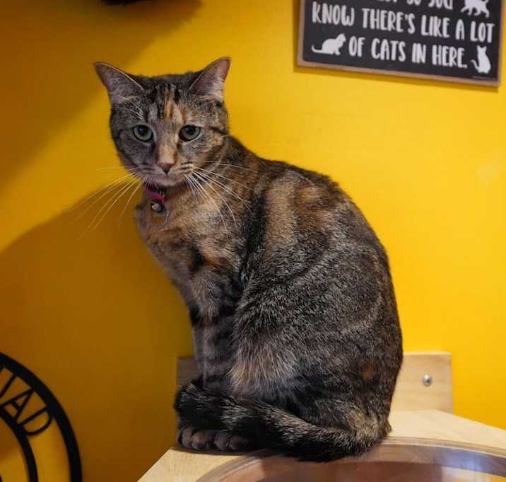 Photo of Juliette