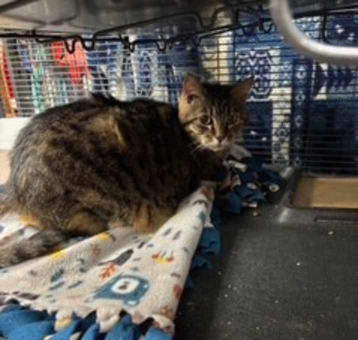 Photo of Butterball