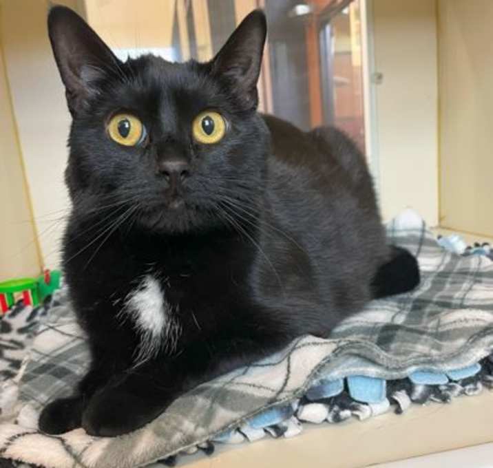 Photo of Tuna