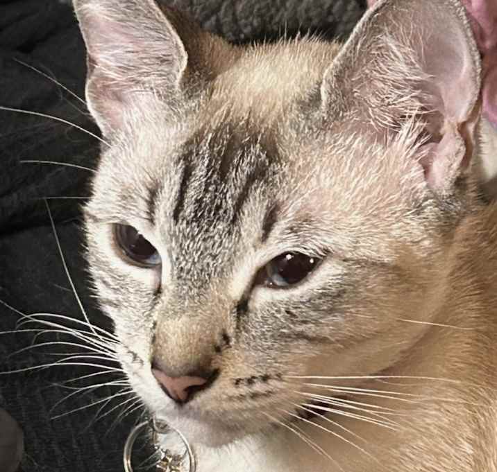Photo of Aspen