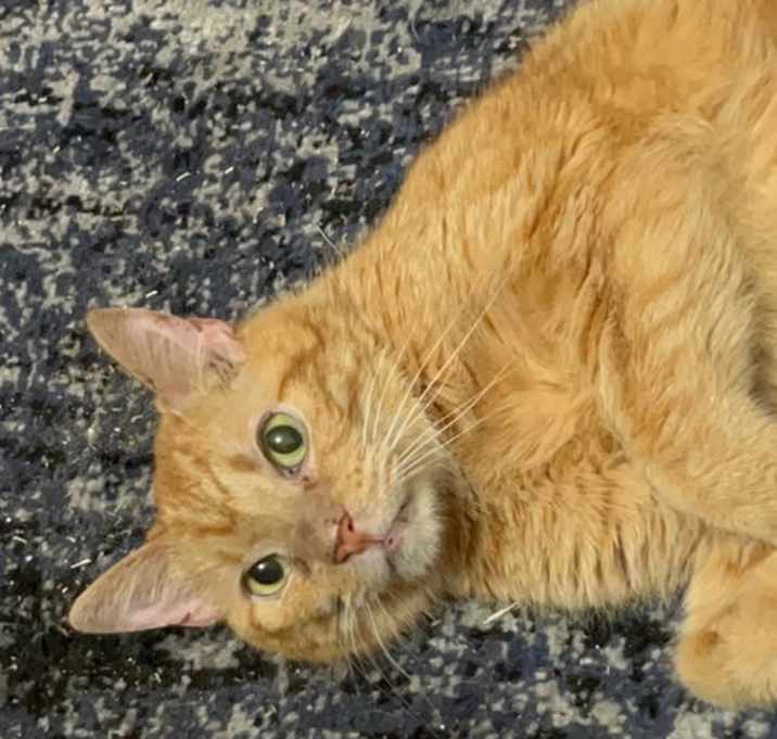 Photo of Carl