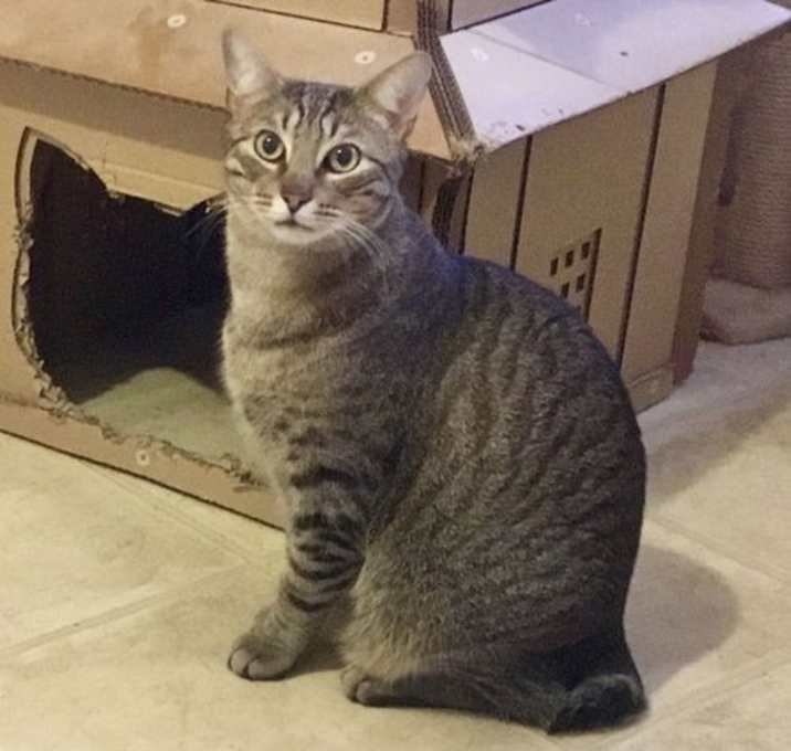 Photo of Scooter