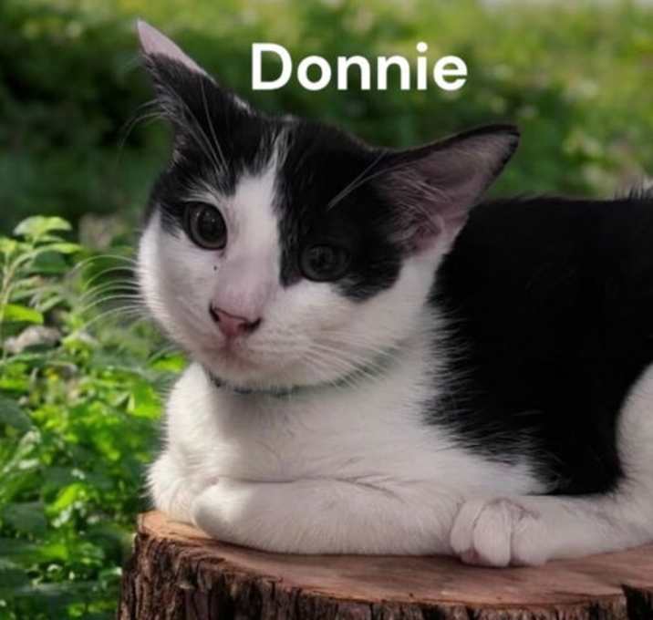 Photo of Donnie