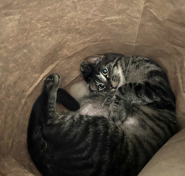 Photo of Tj