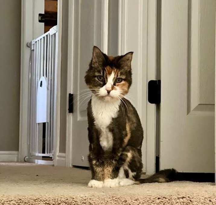 Photo of Gertie