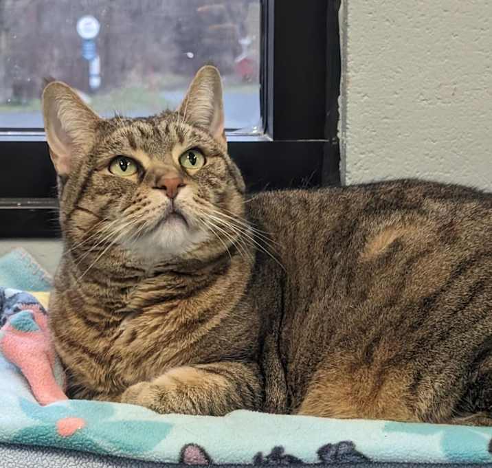 Photo of Phoebe-Foster