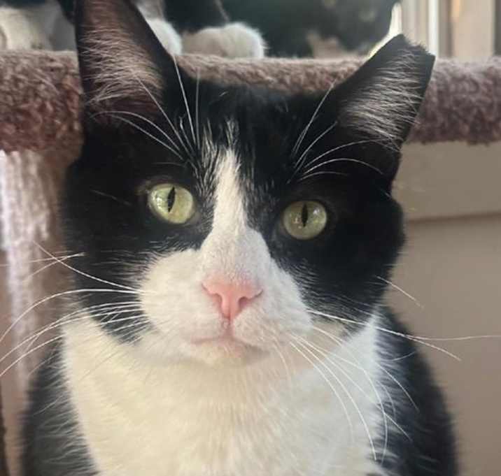 Photo of TOBY