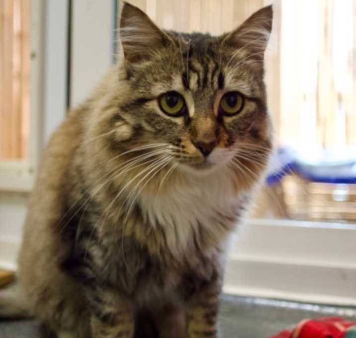 Photo of Wanheda