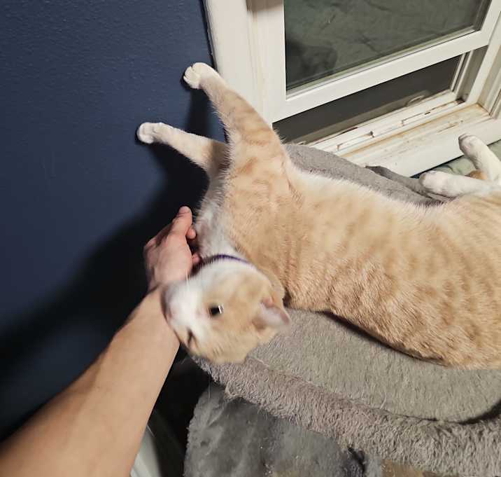 Photo of Jinx