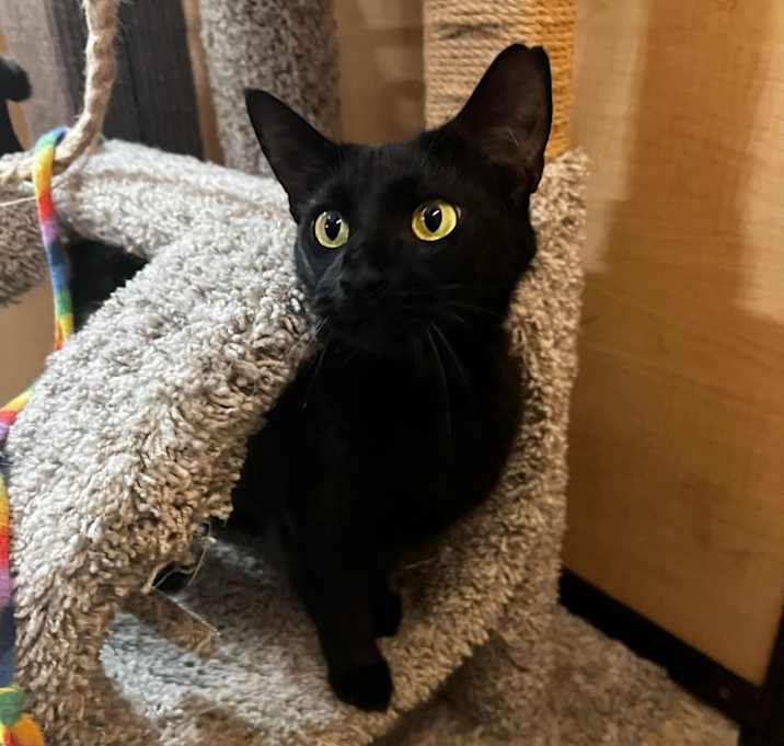 Photo of Truffle