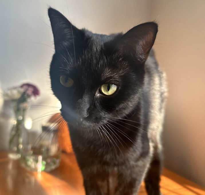 Photo of Marbles
