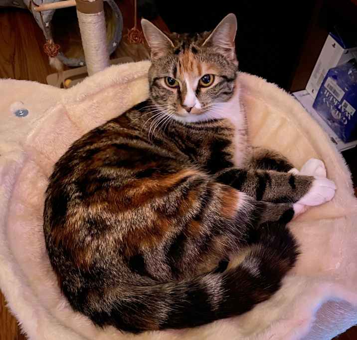 Photo of Cleo