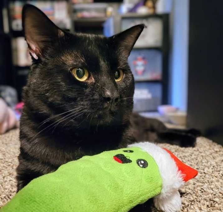 Photo of Lucius